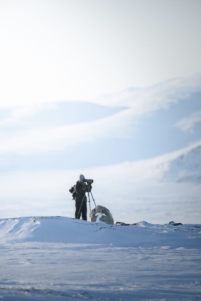 backstage-inverno-norvegia-fotografia-naturalistica-bue-muschiato