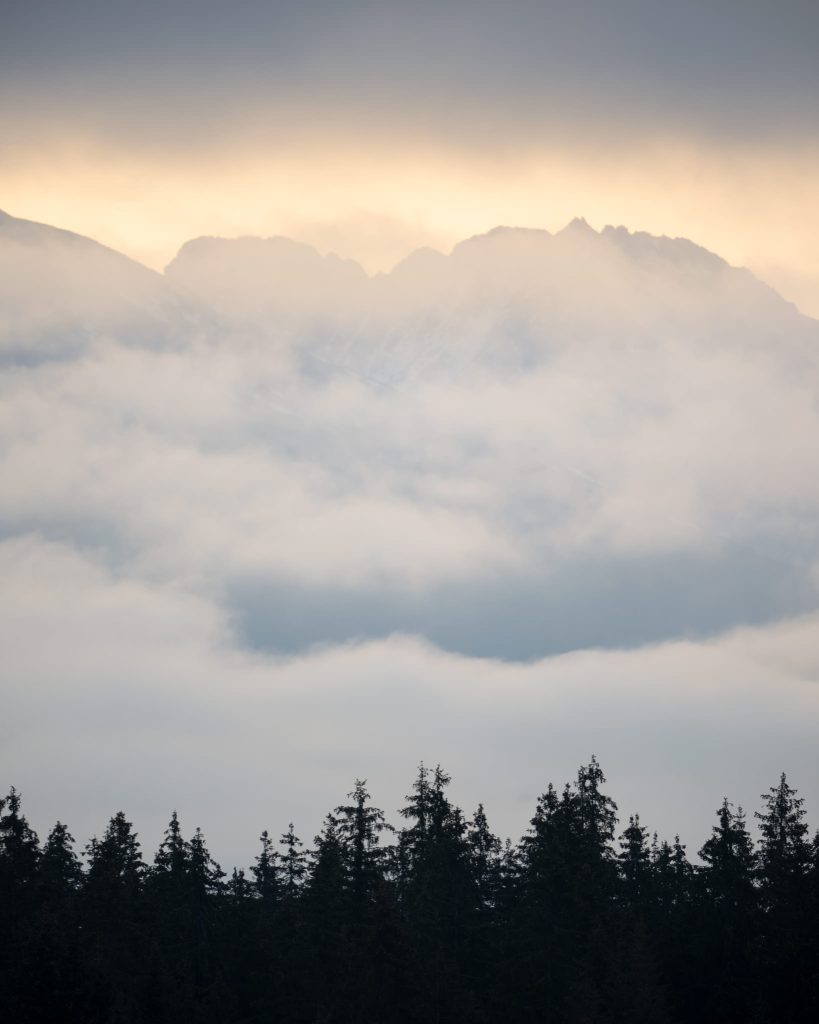 tour-fotografico-wild-bear-slovacchia-fotografia-naturalistica-orso-bruno-paesaggio