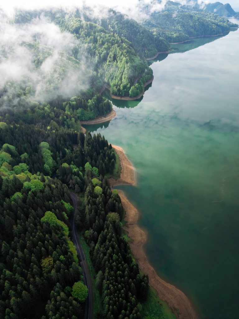 tour-fotografico-bear-week-romania-fotografia-naturalistica-orso-bruno-drone-paesaggio-carpazi