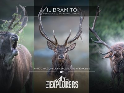 locandina-il-bramito-abruzzo-workshop-di-fotografia-naturalistica