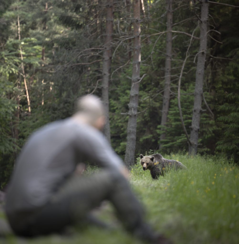 tour-fotografico-bear-week-romania-fotografia-naturalistica-orso-bruno-backstage