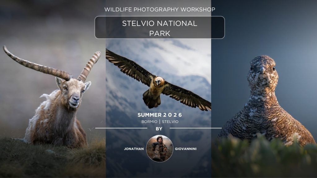 Photography-workshop-stelvio-national-park-2026