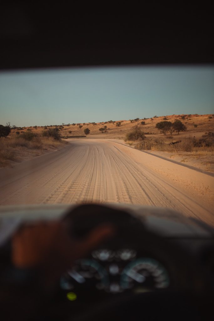 LION-KALAHARI-PHOTO-TOUR-south-africa-desert-verso-campo-base-strada-del-deserto