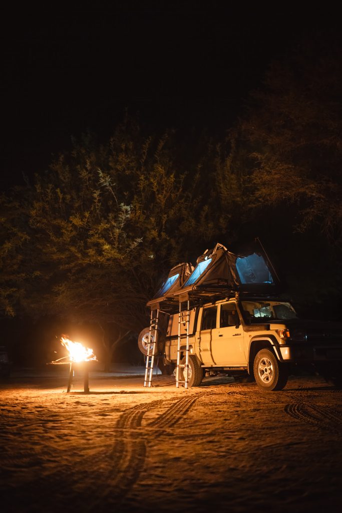 LION-KALAHARI-PHOTO-TOUR-south-africa-desert-accampamento-notturno