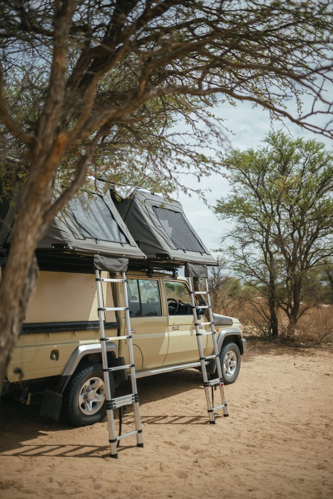 LION-KALAHARI-PHOTO-TOUR-south-africa-desert-mezzo-di-trasporto-con-tende