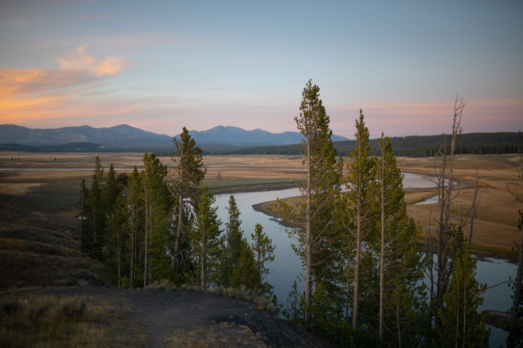 Yellowstone-&-Grand-teton-tour-fotografico-america-wild-life-aesaggi-americani