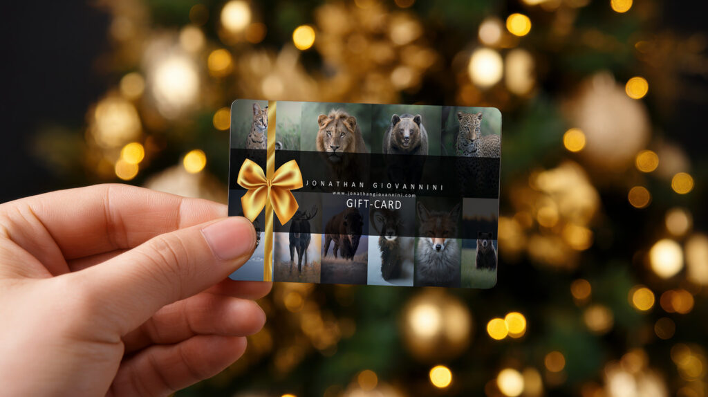gift-card-natale