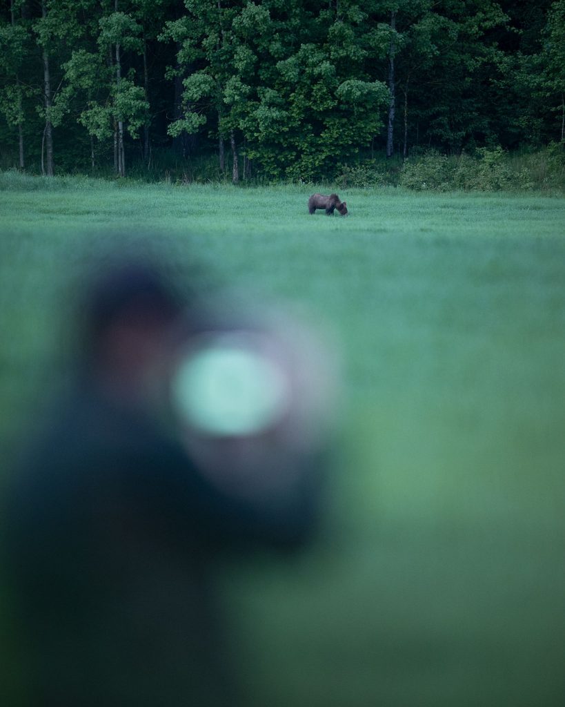 tour-fotografico-wild-bear-slovacchia-fotografia-naturalistica-orso-bruno-backstage