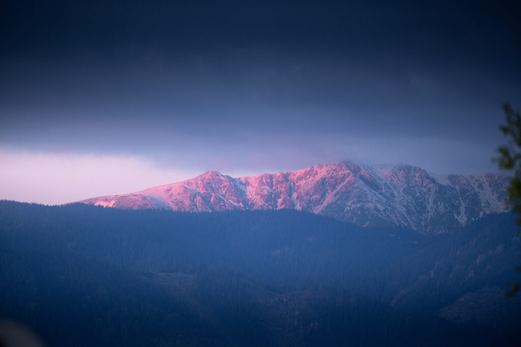 tour-fotografico-wild-bear-slovacchia-fotografia-naturalistica-orso-bruno