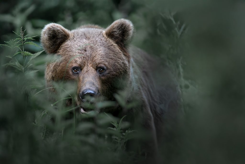 Header-Sito-Web-pagina-di-ringraziamento-Jonathan-Giovannini