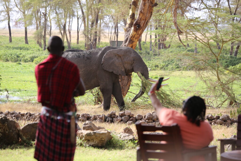 KENYA–MASAI-MARA-&-AMBOSELI-tour-fotografico-africa-lodge-elefanti