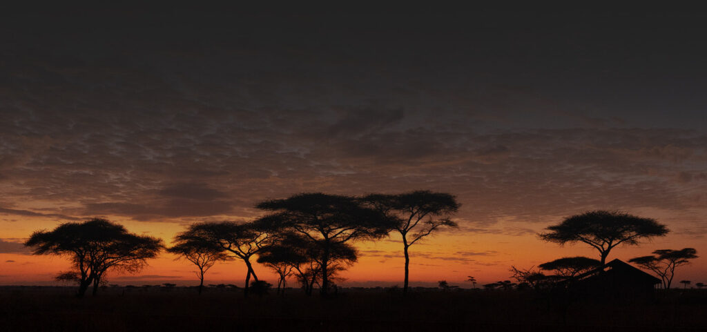 KENYA–MASAI-MARA-&-AMBOSELI-tour-fotografico-africa-paesaggio-savana