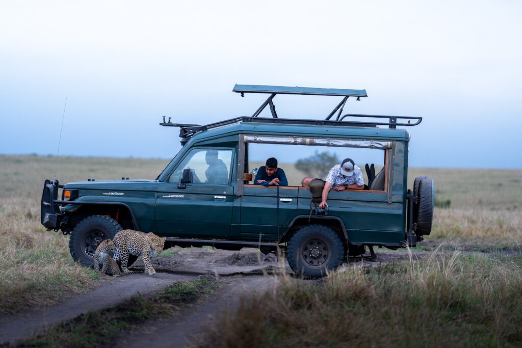 KENYA–MASAI-MARA-&-AMBOSELI-tour-fotografico-africa-wildlife-leopardo-backstage