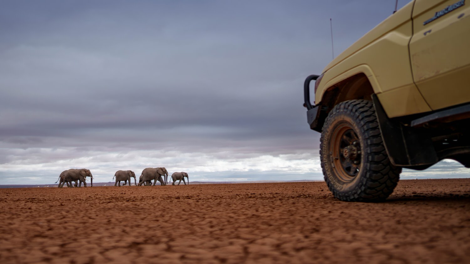 KENYA–MASAI-MARA-&-AMBOSELI-tour-fotografico-africa-backstage elefanti