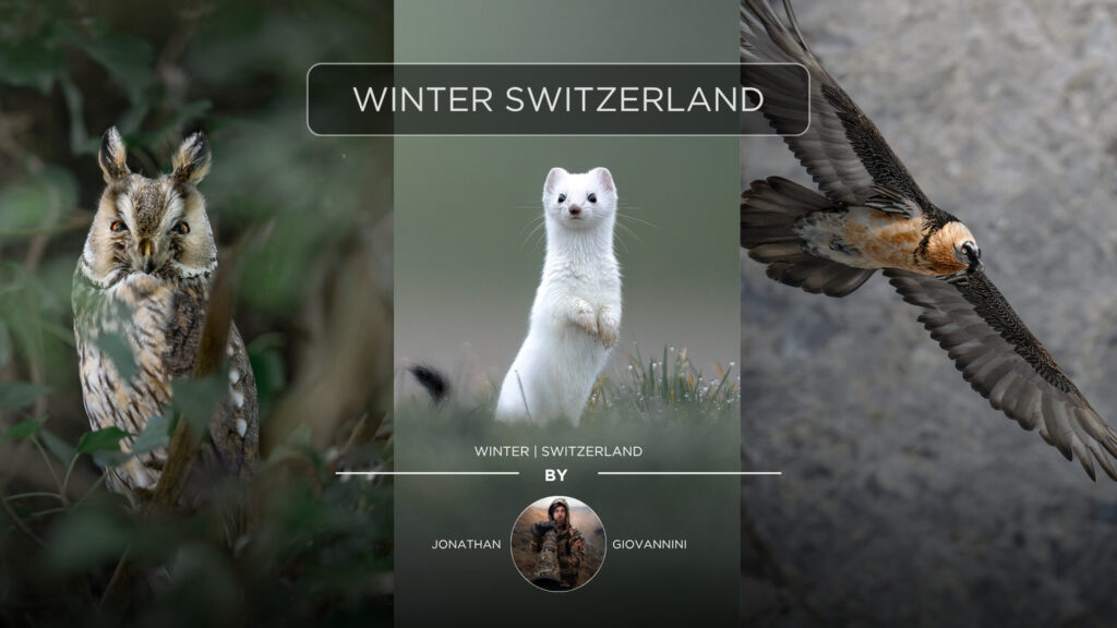 Locandina-workshop-Svizzera-2026