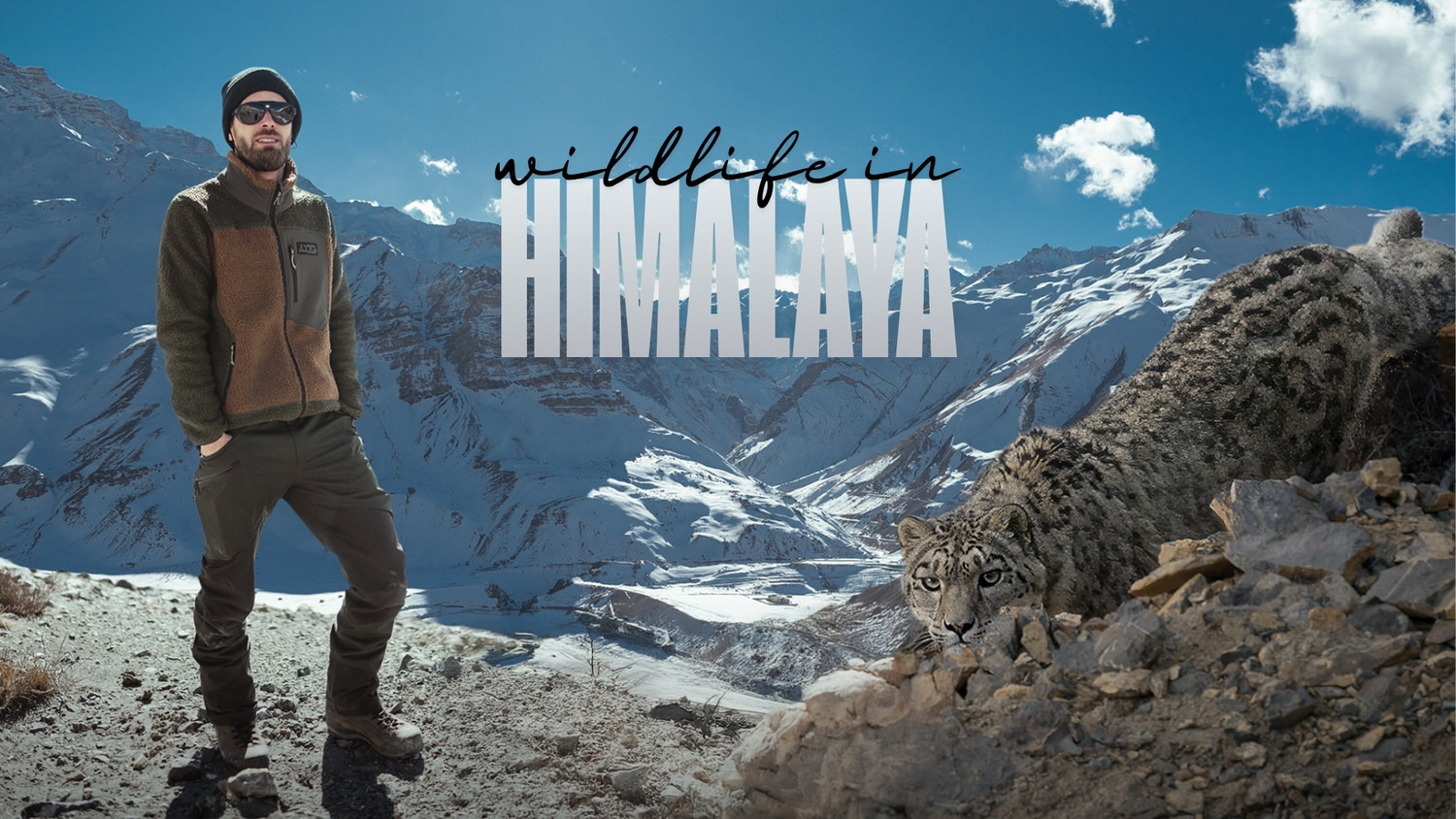Copertina blog himalaya, alla ricerca del leopardo delle nevi
